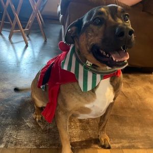 Meet your Posher, Anna-jo